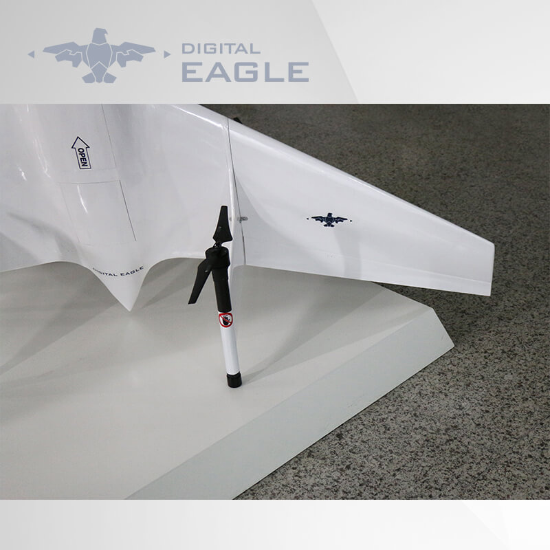 DIGITAL EAGLE