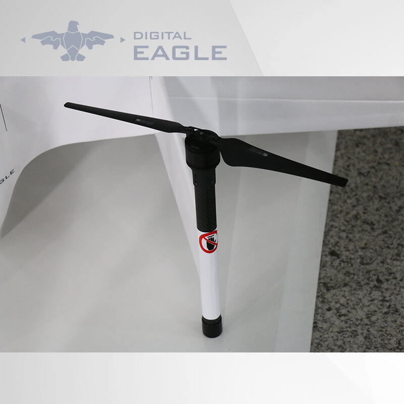 DIGITAL EAGLE